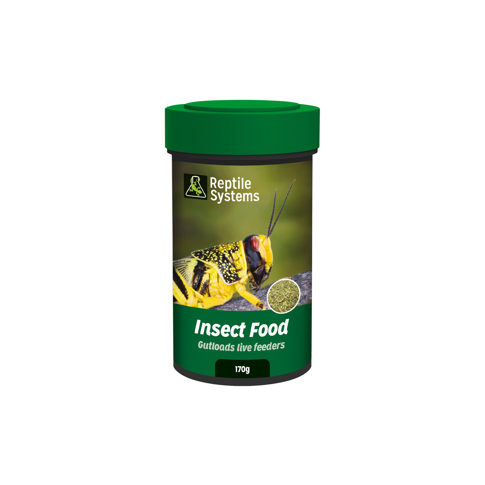 Insect Food