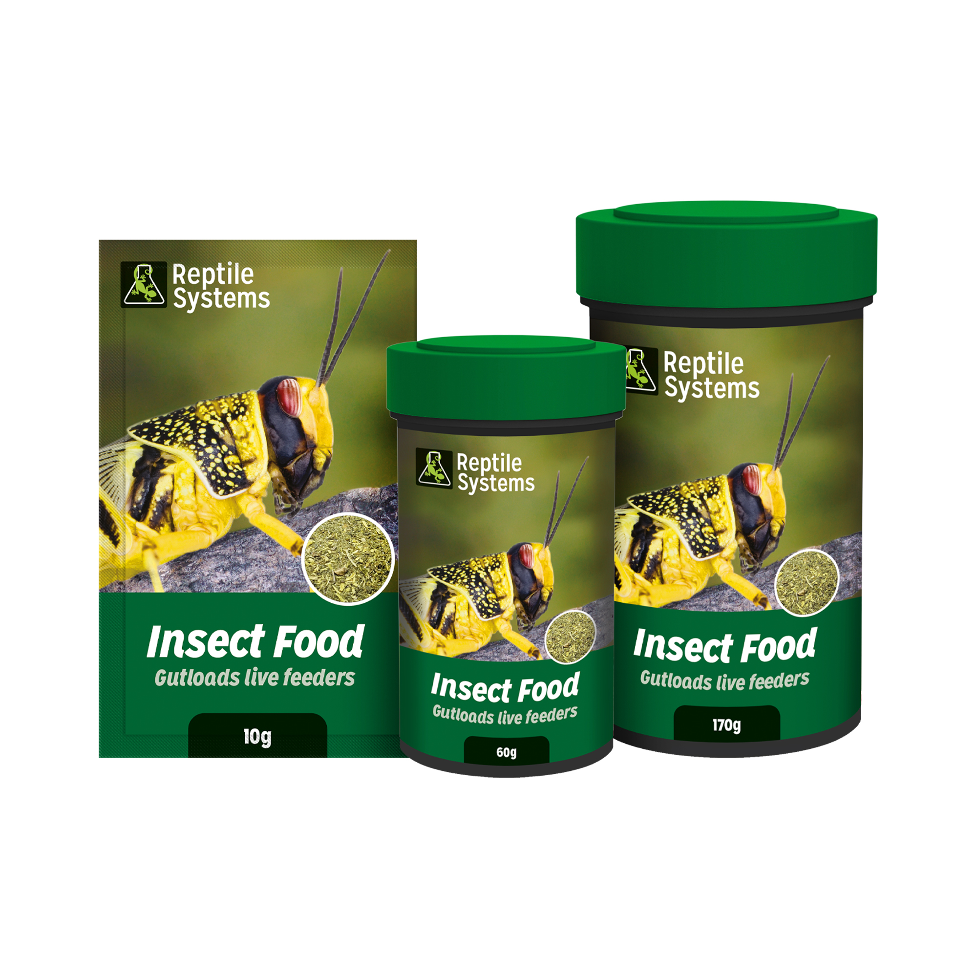 Insect Food