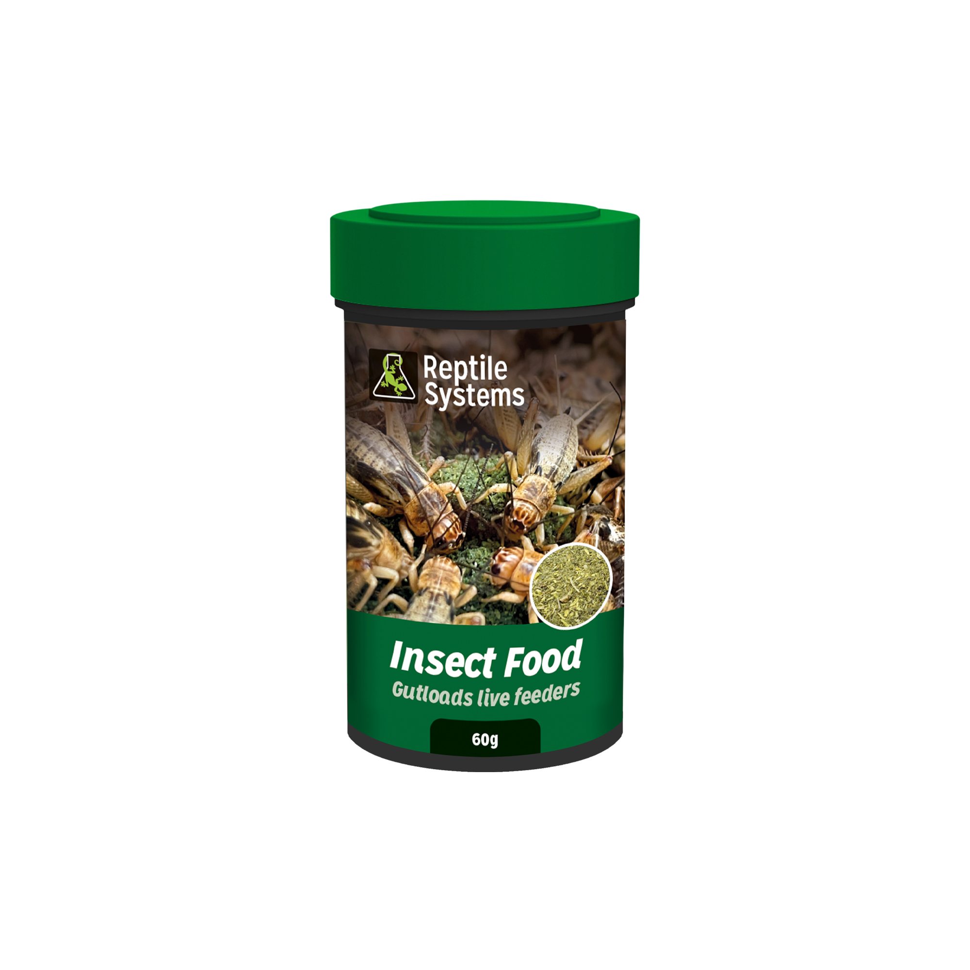 Insect Food