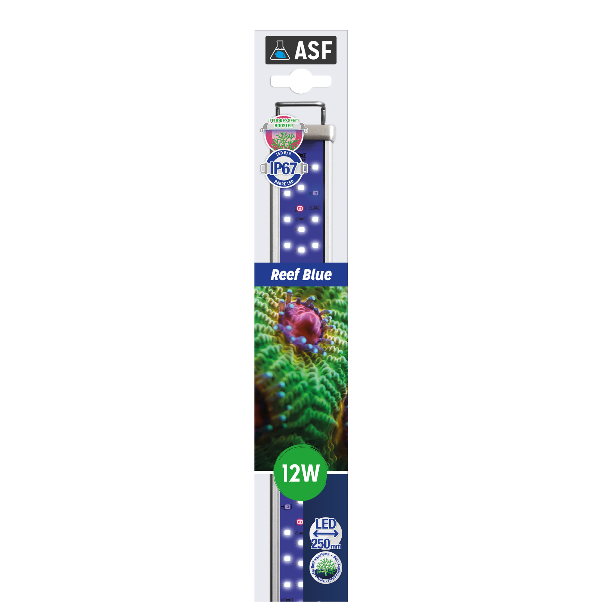 Proten LED Reef Blue