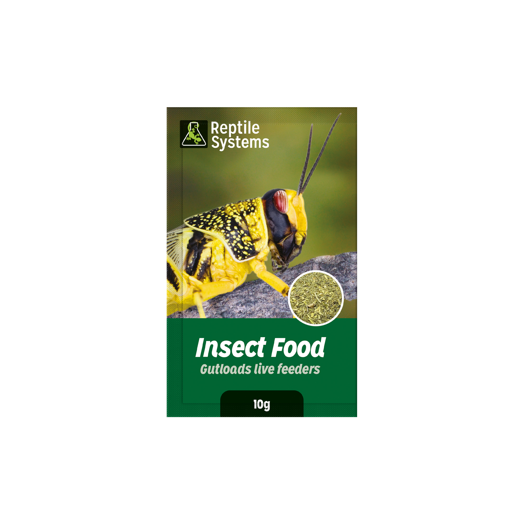 Insect Food